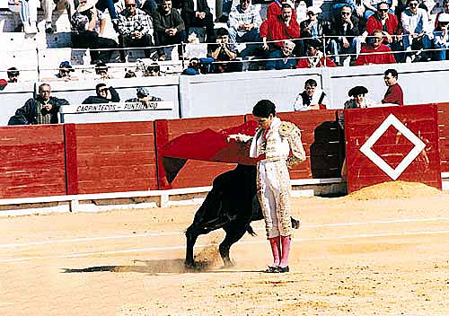 PHOTO: Jose Toms, one of todays toreros walking in Manoletes footsteps